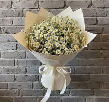 Букет цветов из:  Ромашки в Нижнезольском