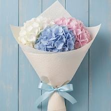 Букет цветов из:  Гортензия в Нижнезольском