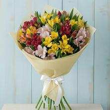 Букет цветов из:  Альстромерии в Нижнезольском