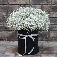 Цветочная композиция из Гипсофила в шляпной коробке в Нижнезольском
