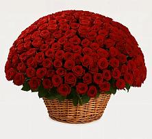 Премиум букет из: Розы в Нижнезольском